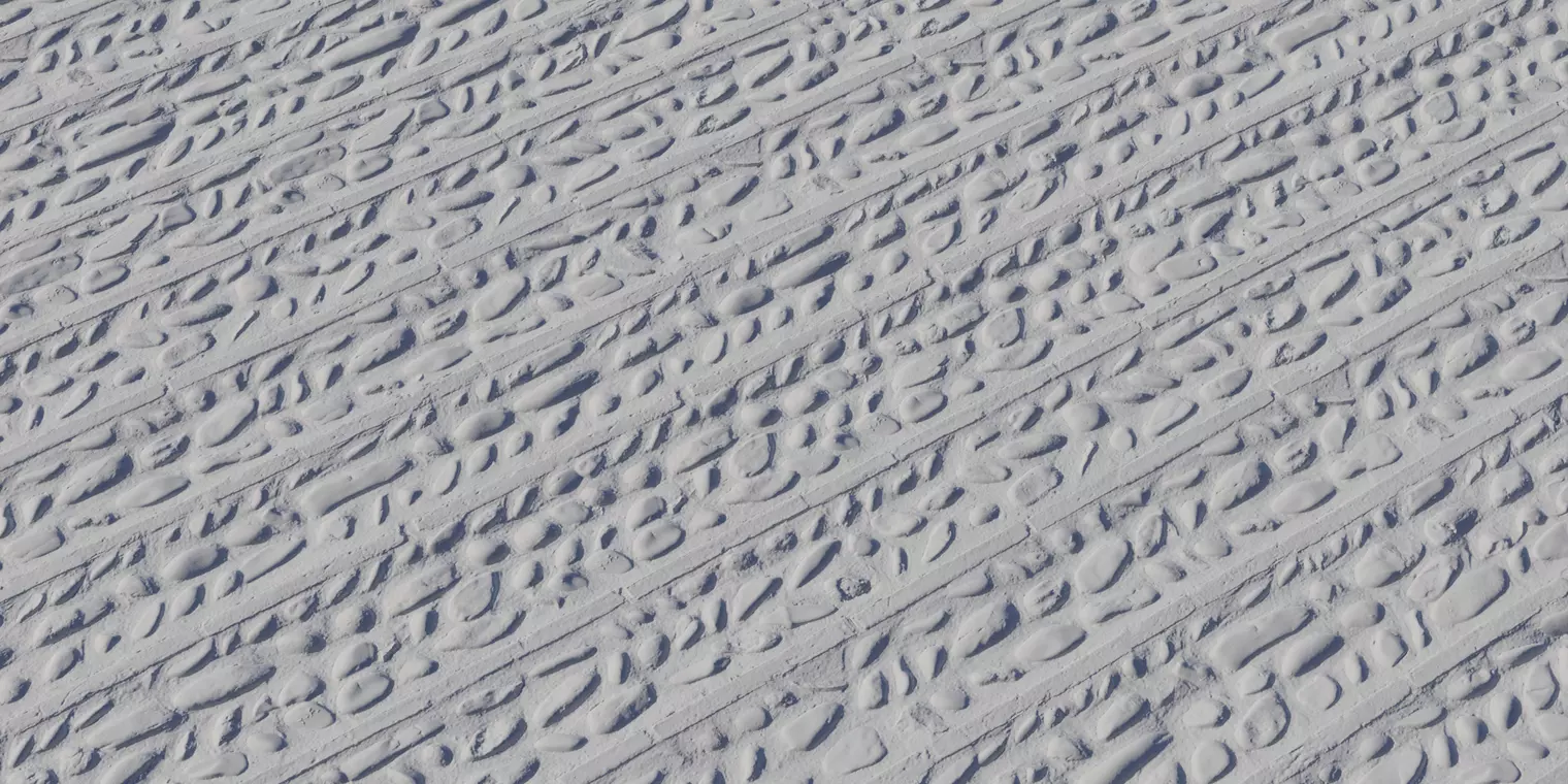 Pebble Mosaic with Brick Bands Texture_2