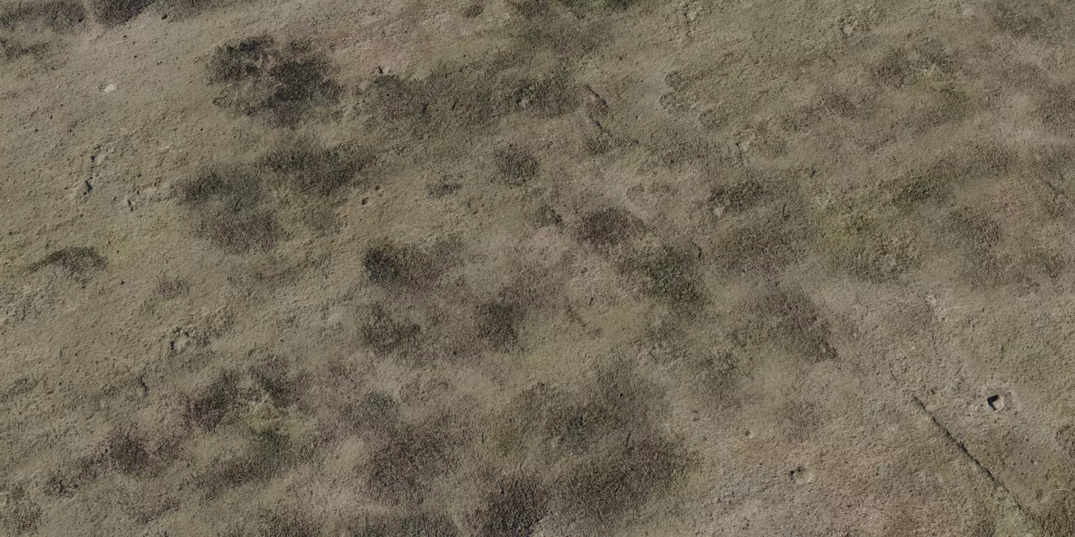 Mildewed Plaster Wall Texture_1