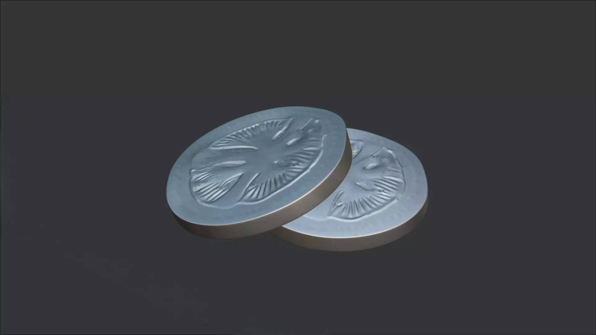 Tomato Slice 3D model_1