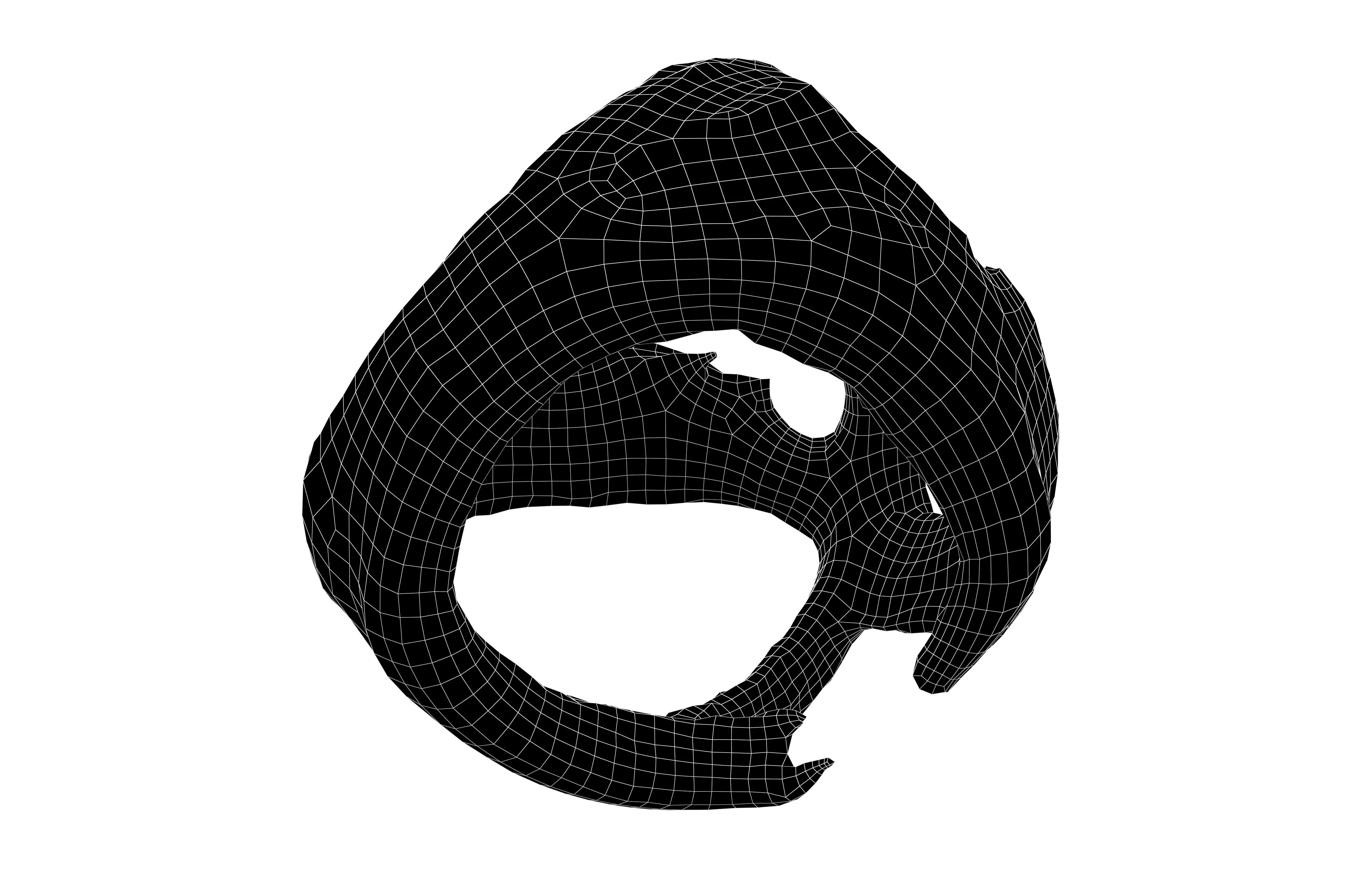 Abstract Sphere v13 003 Low-poly 3D model_5