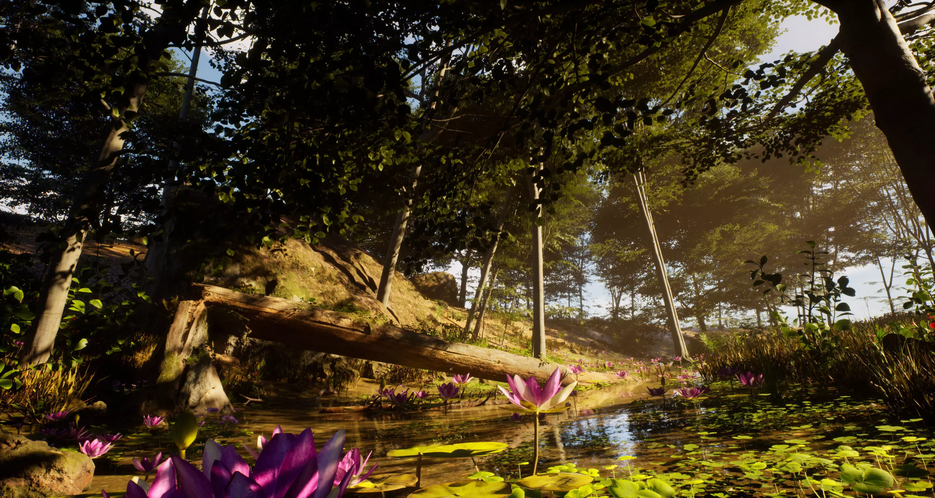 Forest Environment Unreal Engine 5 Low-poly 3D model_13