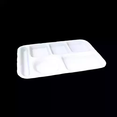 Compartment Meal Tray v1 001