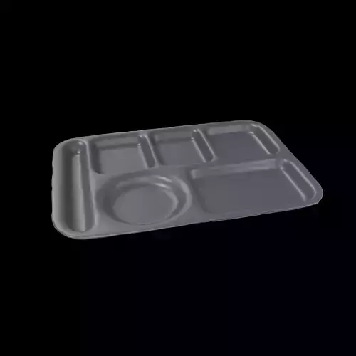 Compartment Meal Tray v1 003