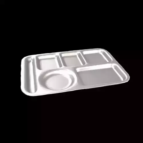 Compartment Meal Tray v1 004