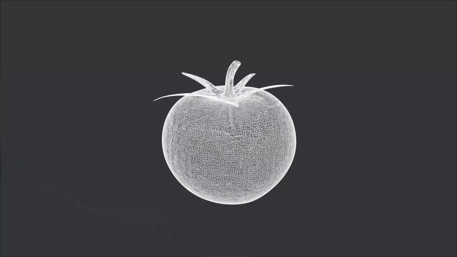 Tomato 3D model_5