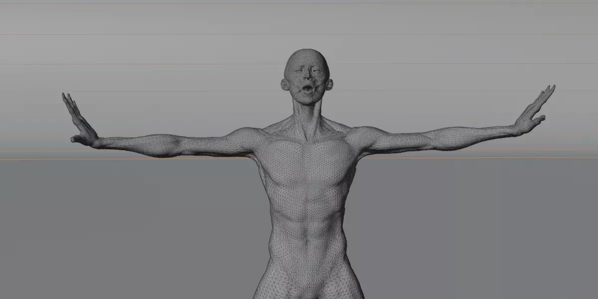 Realistic Human Muscle 3D Model Full Body Anatomical Structure Low-poly 3D model_9