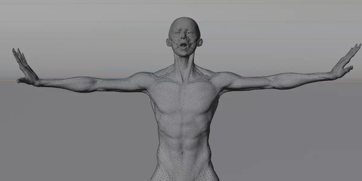 Realistic Human Muscle 3D Model Full Body Anatomical Structure Low-poly 3D model_14