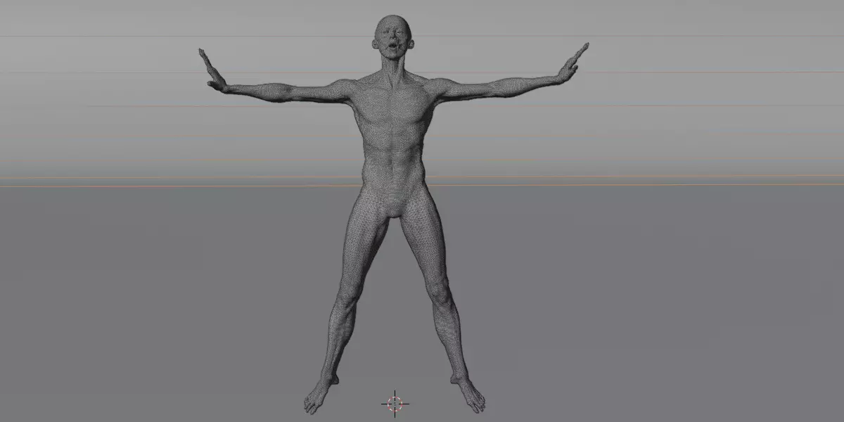 Realistic Human Muscle 3D Model Full Body Anatomical Structure Low-poly 3D model_8