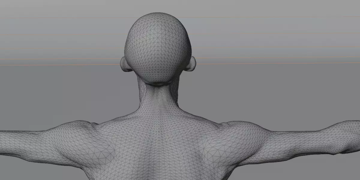 Realistic Human Muscle 3D Model Full Body Anatomical Structure Low-poly 3D model_12