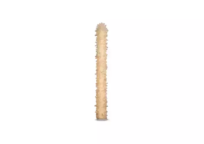 MOORGEN GLACIER N SERIES FLOOR RECESSED ANCHOR