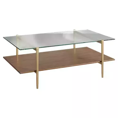 Mid-Century Art Display Coffee Table