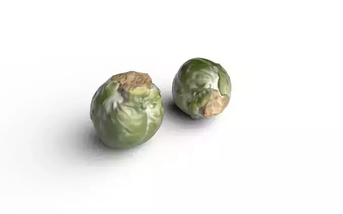 Brussels Sprouts M01