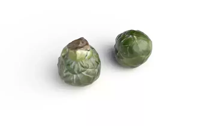 Brussels Sprouts M02