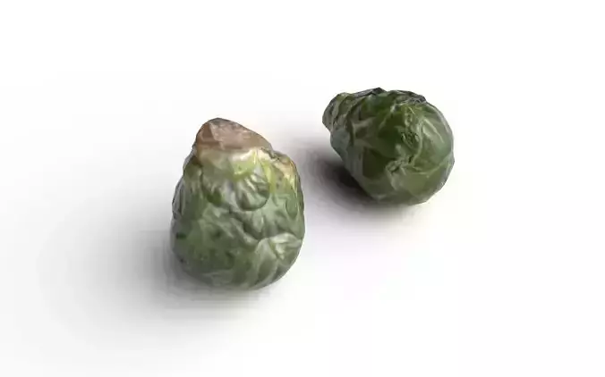 Brussels Sprouts M03