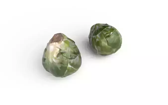 Brussels Sprouts M04