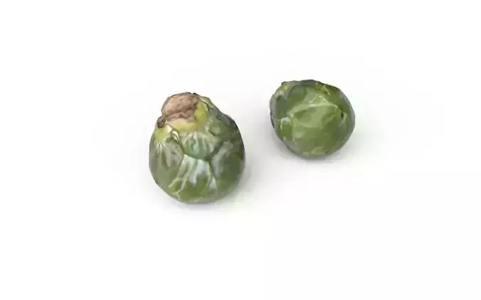 Brussels Sprouts M05