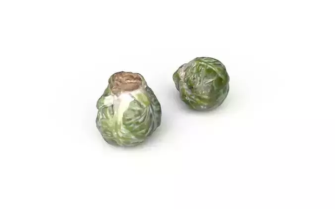Brussels Sprouts M06