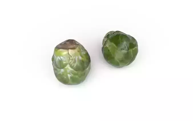 Brussels Sprouts M07