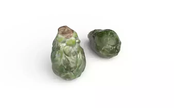 Brussels Sprouts M08