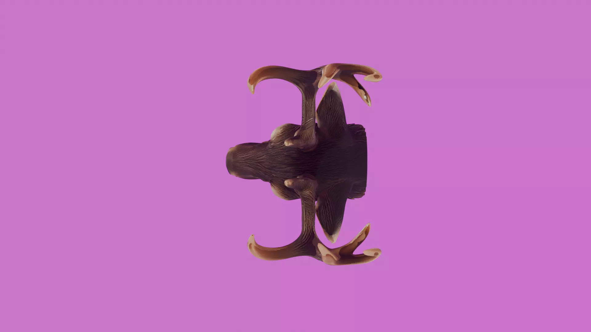 Deer head wall mounted 3d printable high poly model 3D print model_9