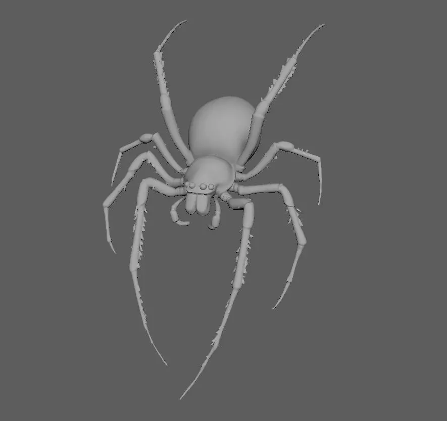 Spider 3D model_3