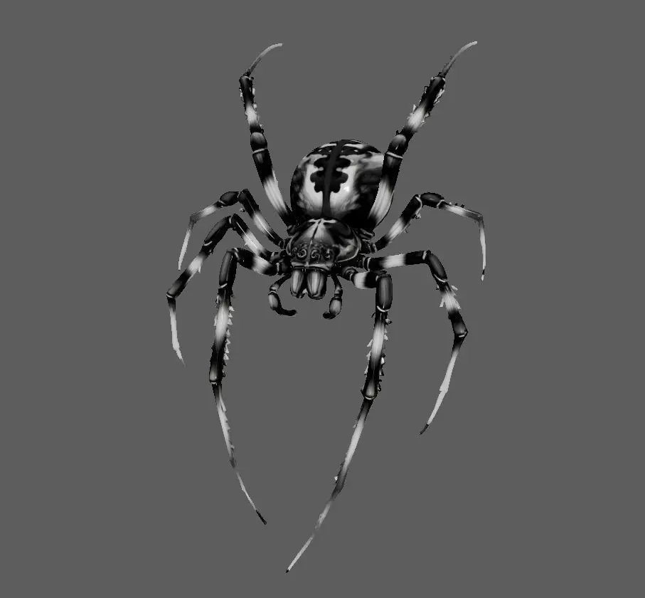 Spider 3D model_0
