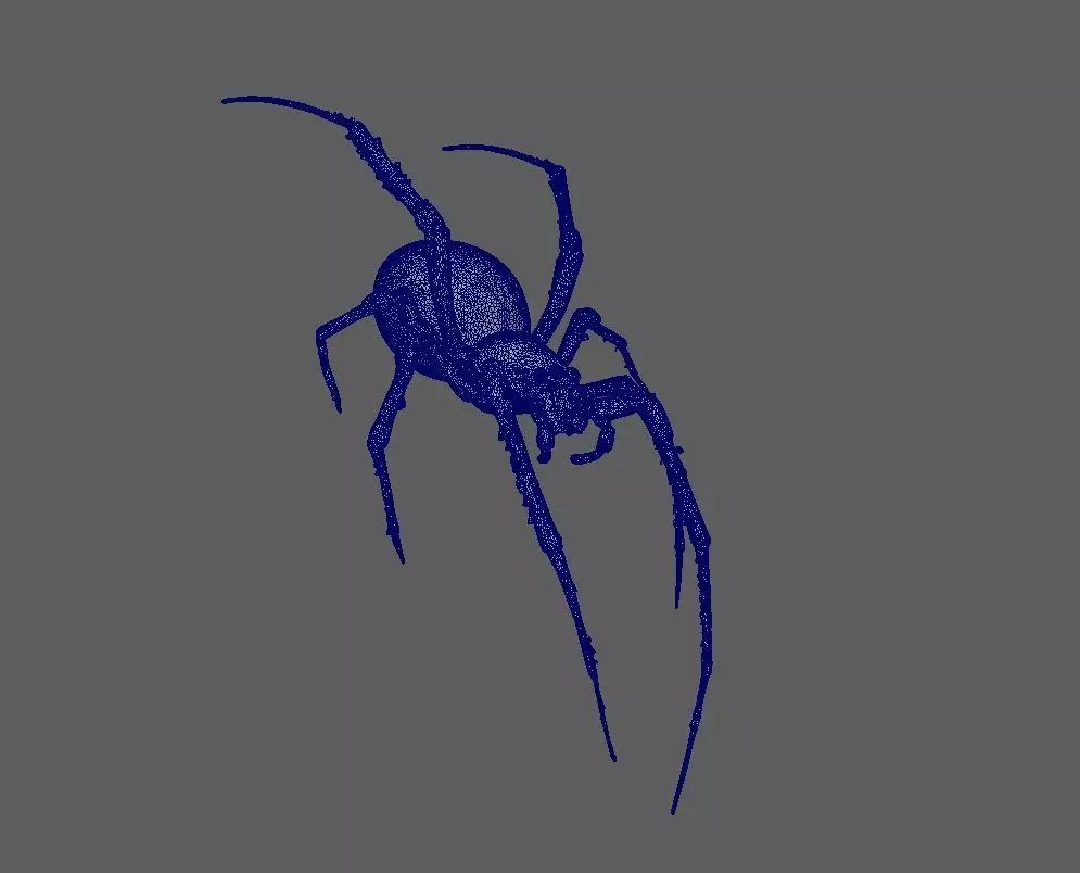 Spider 3D model_4