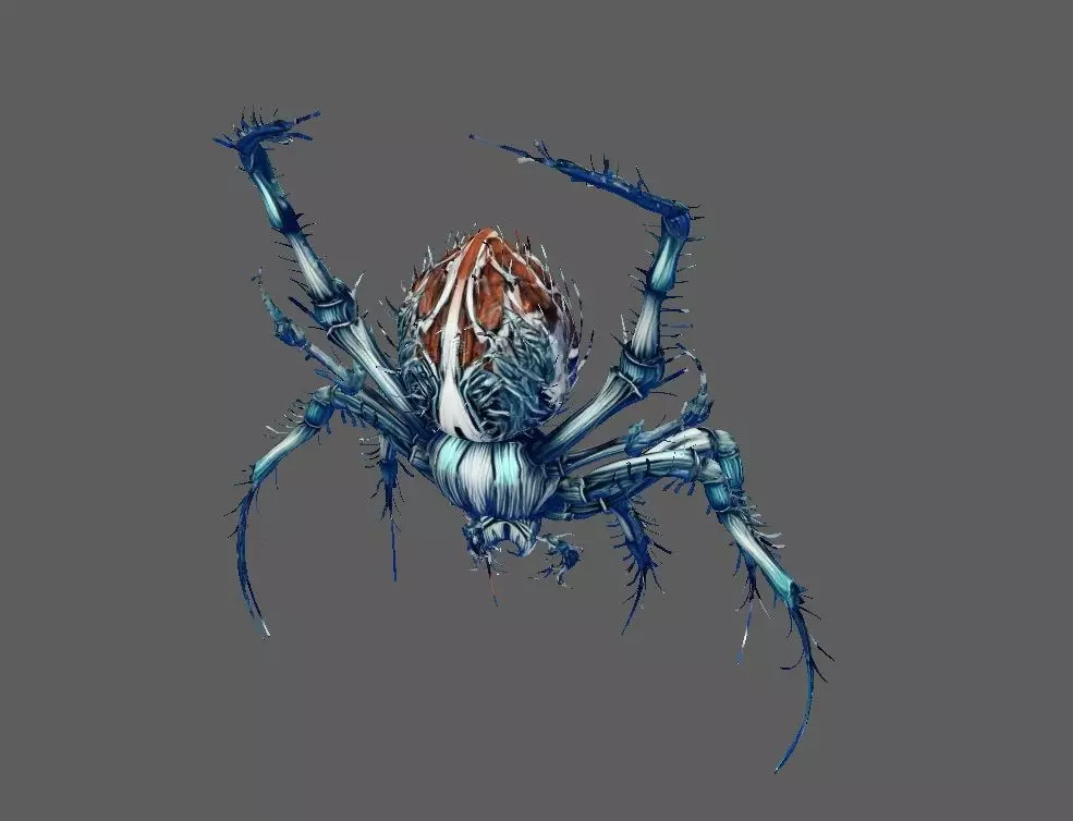 Spider 3D model_1