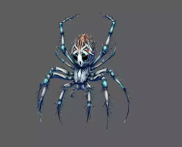 Spider