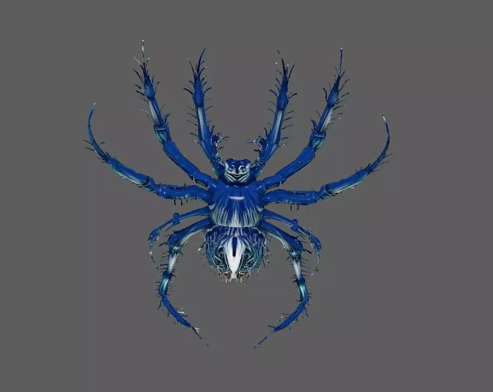 Spider 3D model_2