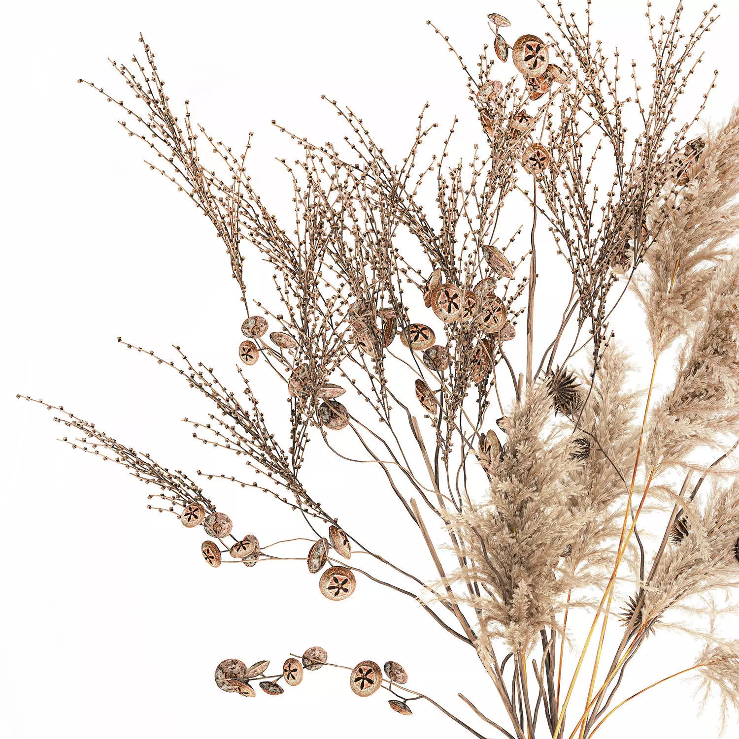 Realistic autumn bouquet dried pampas branches vase decor 3D model_10