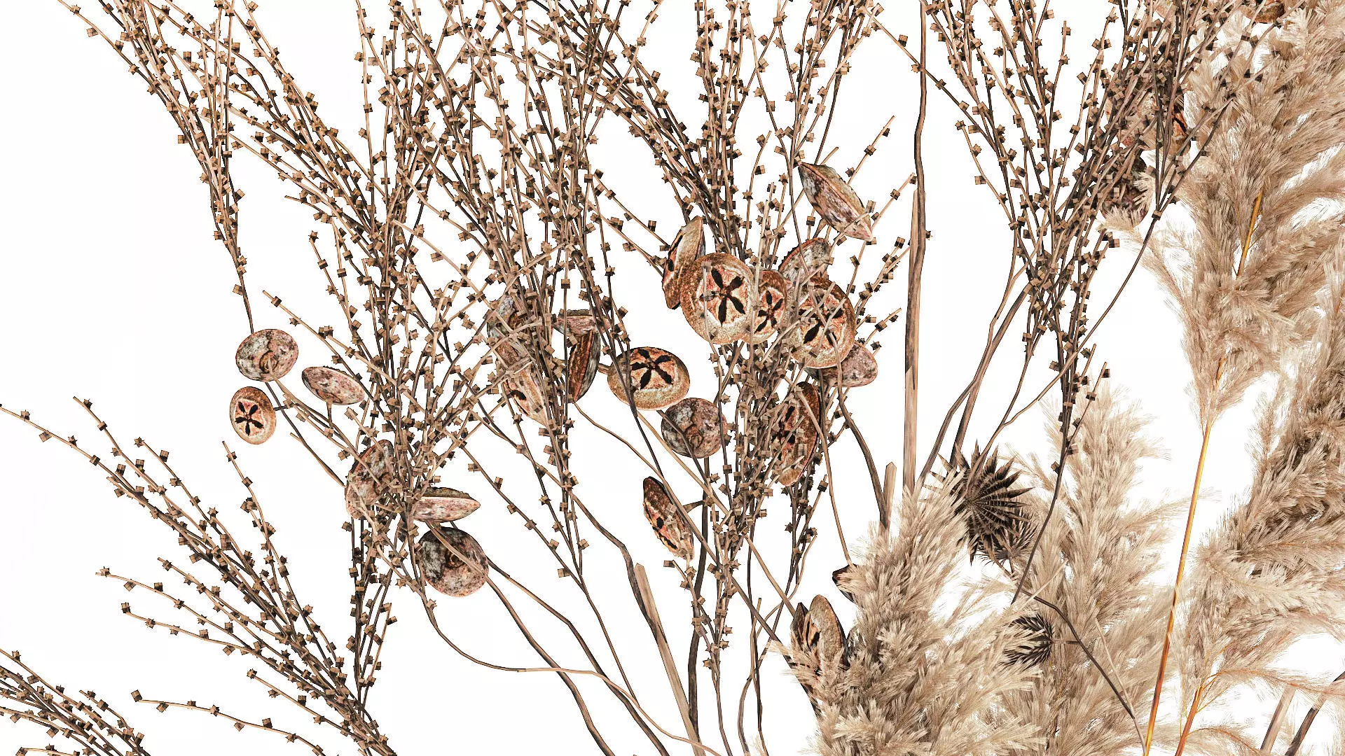 Realistic autumn bouquet dried pampas branches vase decor 3D model_5