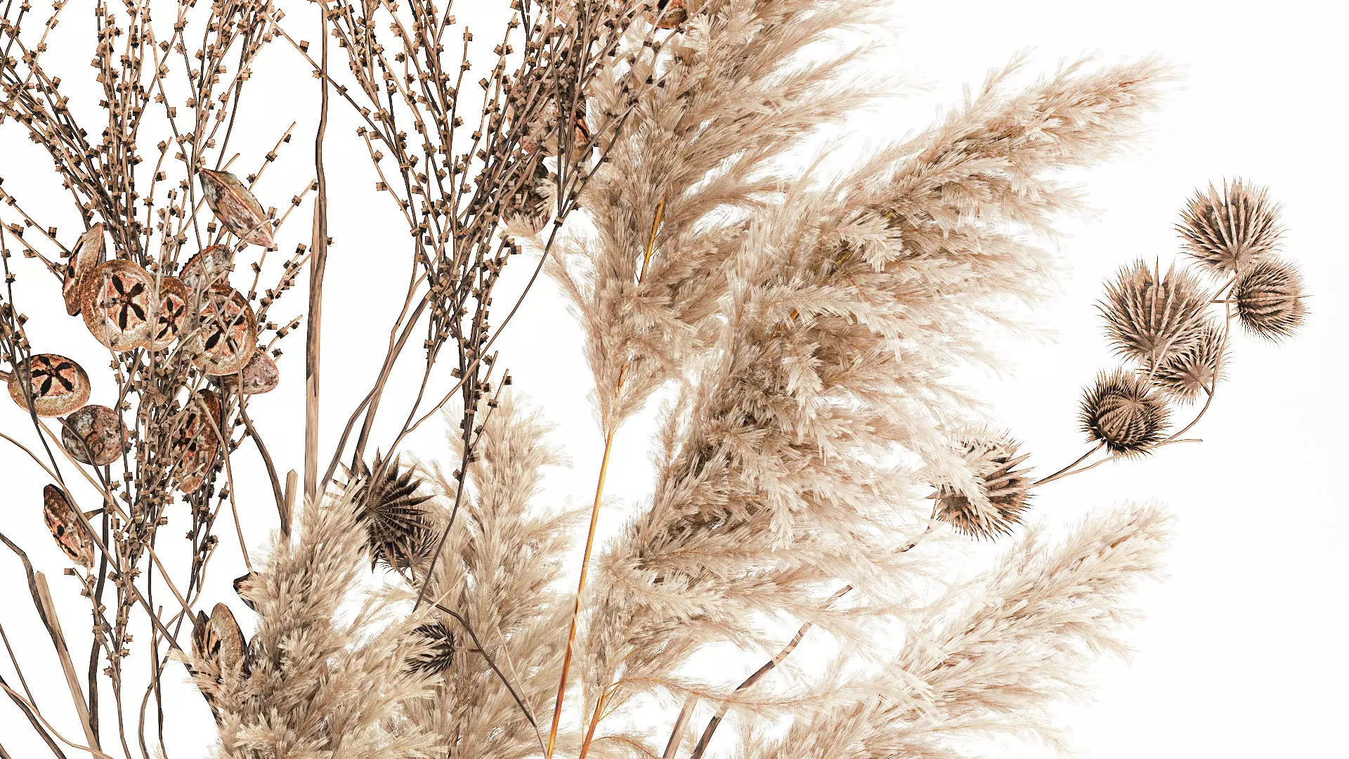 Realistic autumn bouquet dried pampas branches vase decor 3D model_6