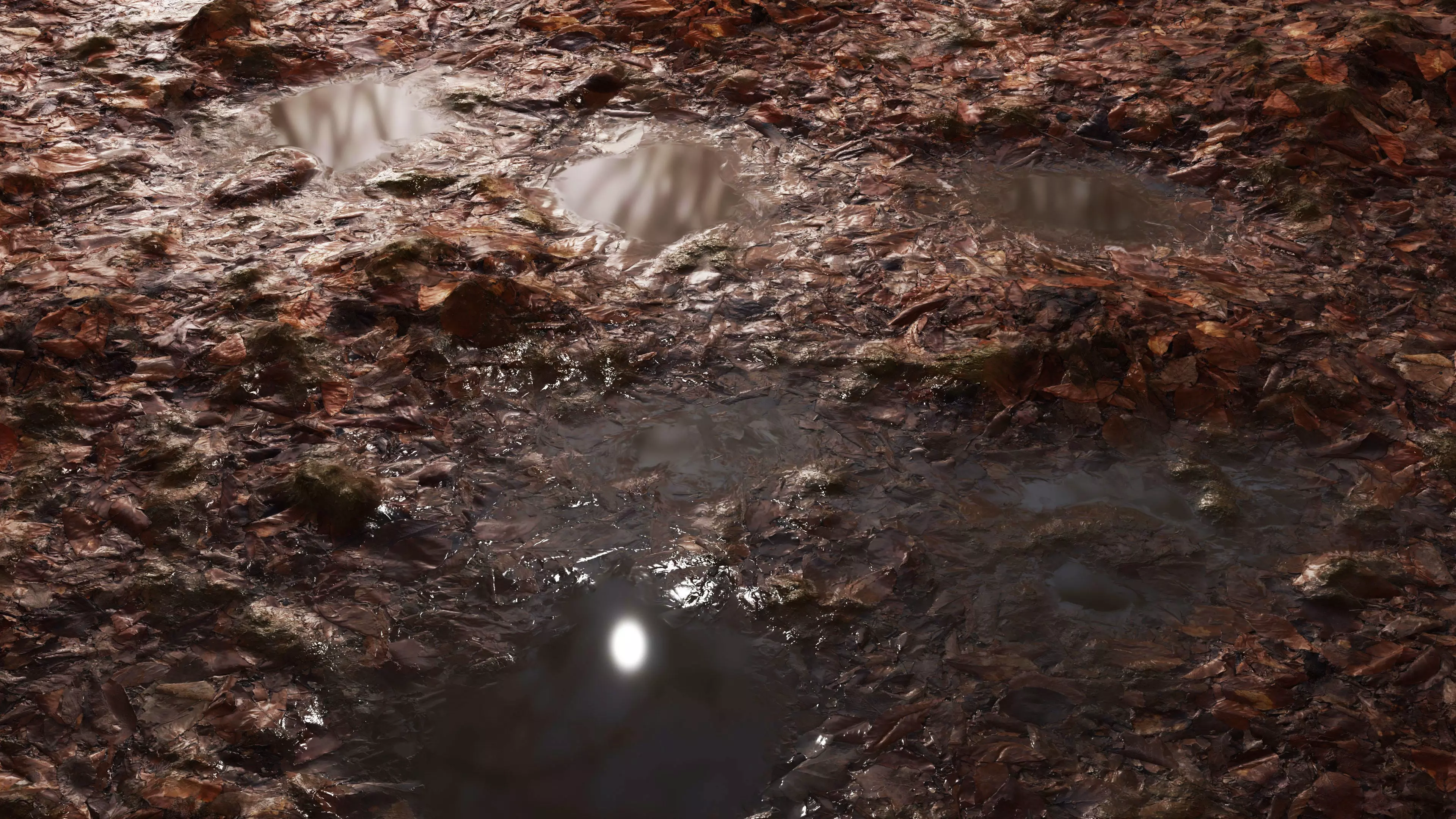 Wet Leaves 8K PBR Texture Texture_6