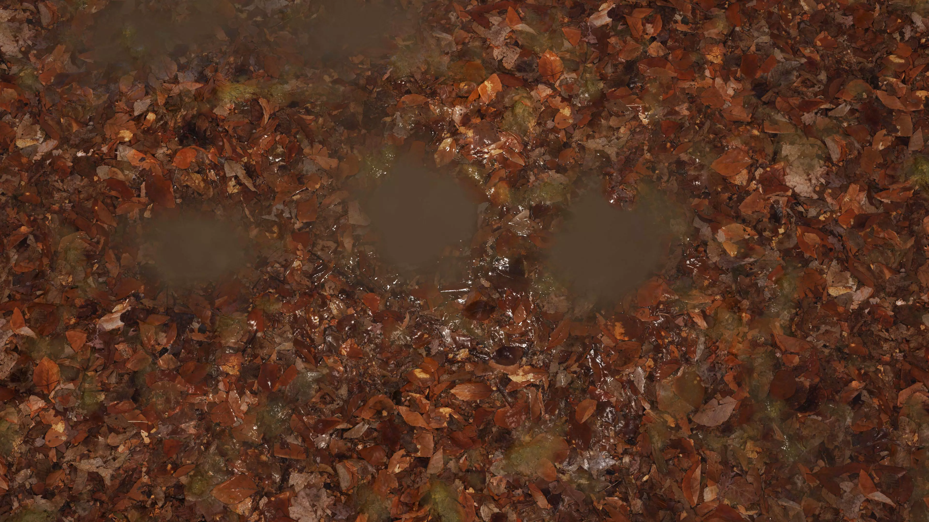 Wet Leaves 8K PBR Texture Texture_7