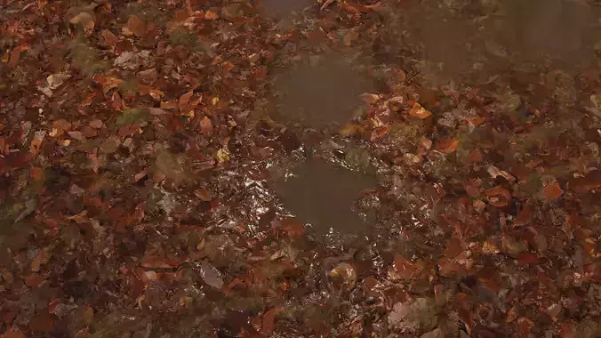 Wet Leaves 8K PBR Texture Texture