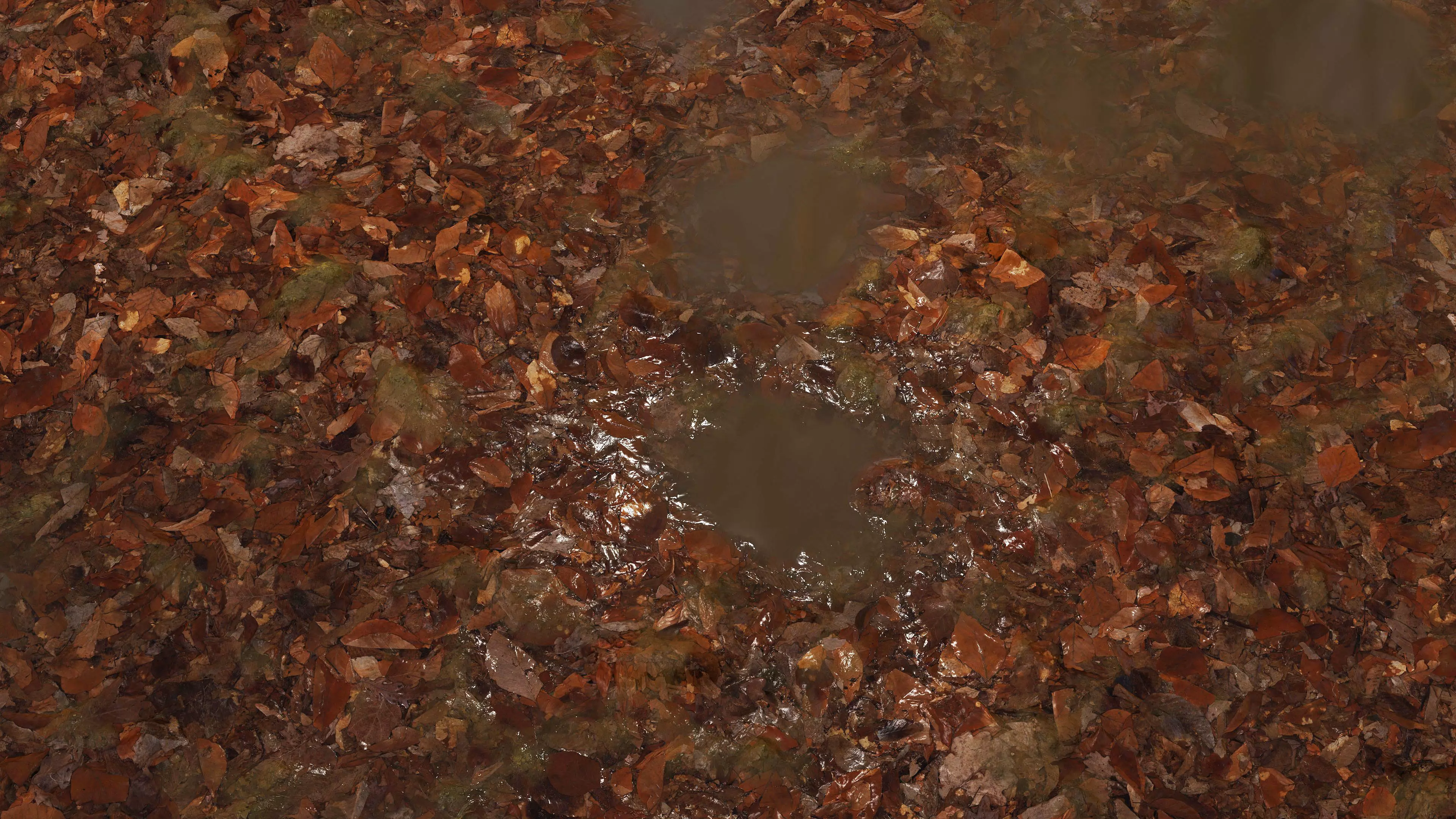 Wet Leaves 8K PBR Texture Texture_0