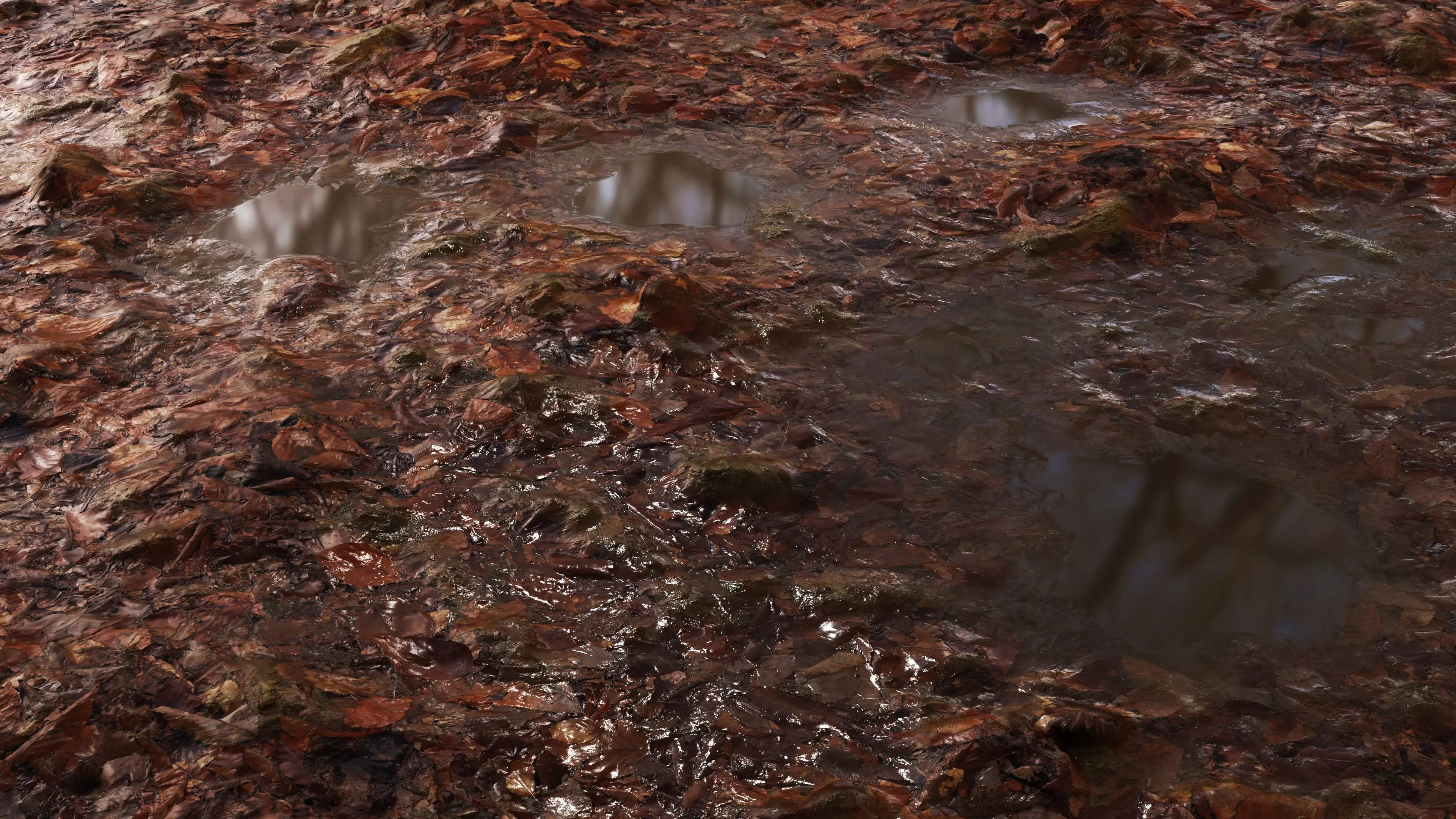 Wet Leaves 8K PBR Texture Texture_5