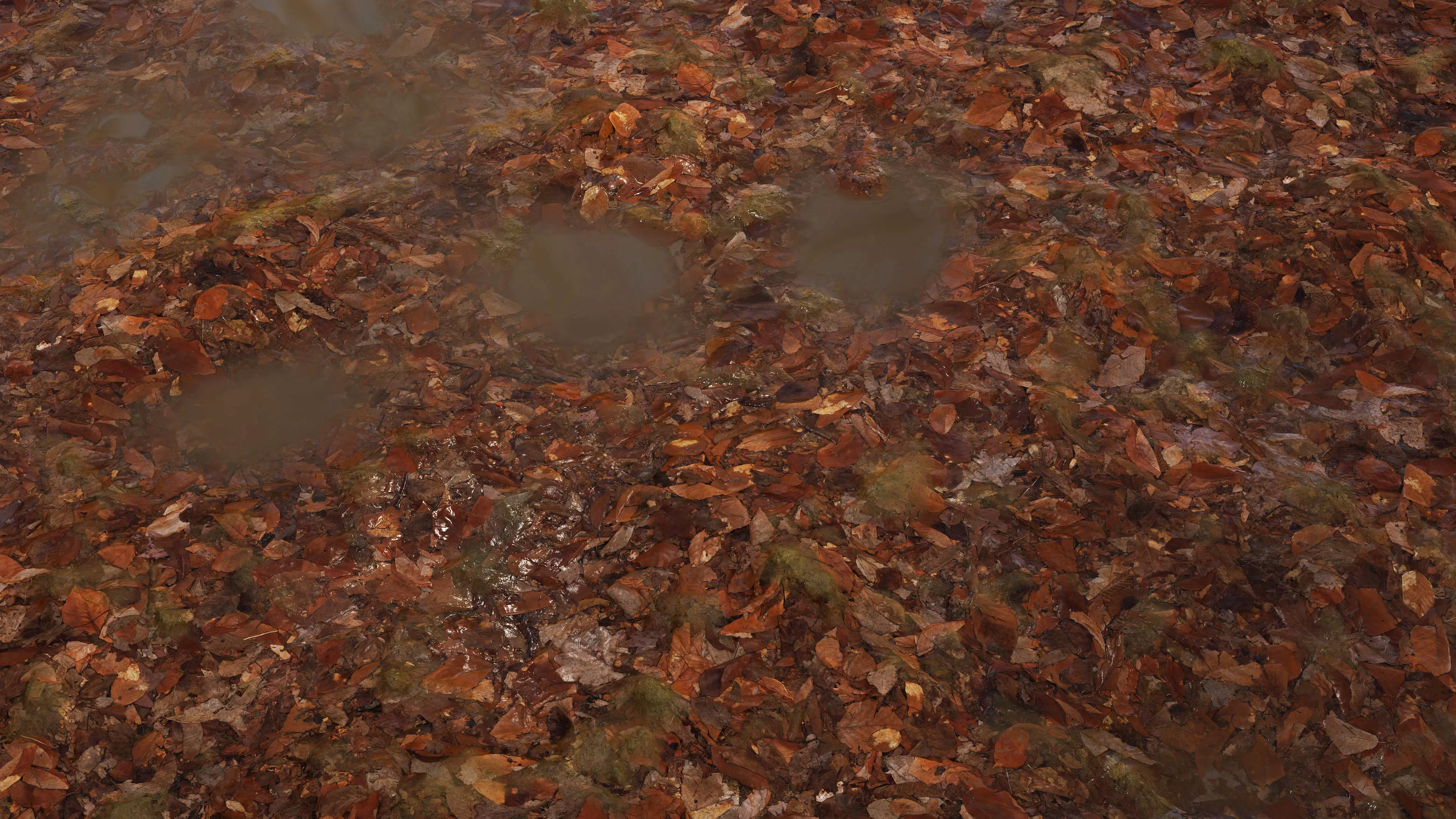 Wet Leaves 8K PBR Texture Texture_2