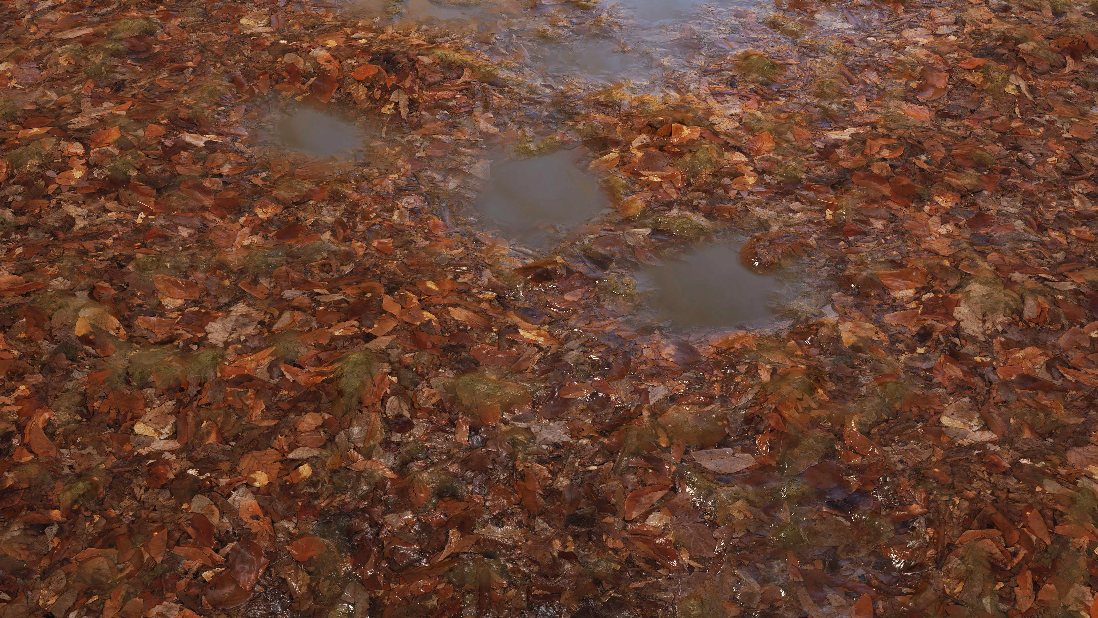 Wet Leaves 8K PBR Texture Texture_4