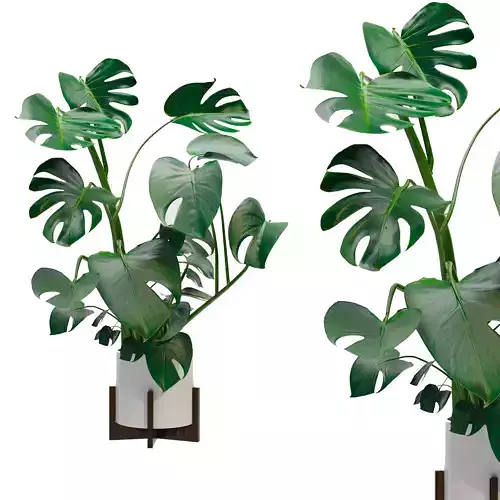 Plantsset01