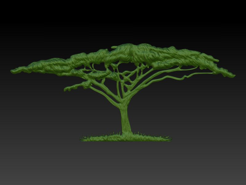 African Acacia Tree 3D print model_2