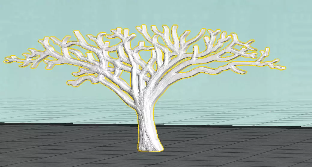 African Acacia Tree 3D print model_0