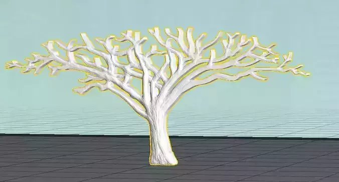 African Acacia Tree 3D print model