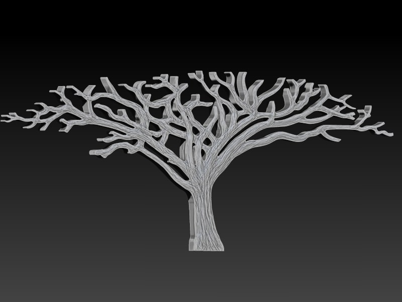 African Acacia Tree 3D print model_9