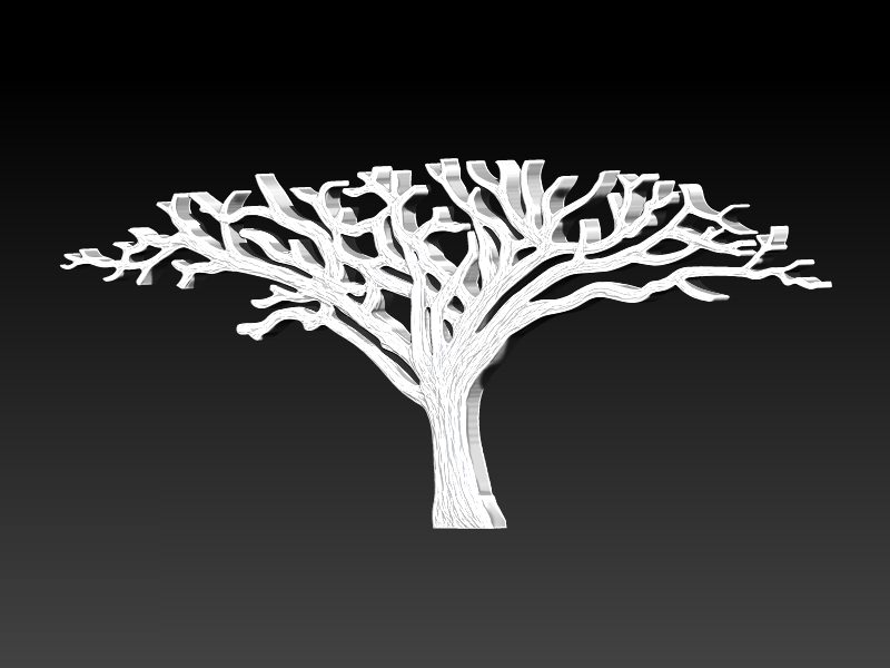 African Acacia Tree 3D print model_8