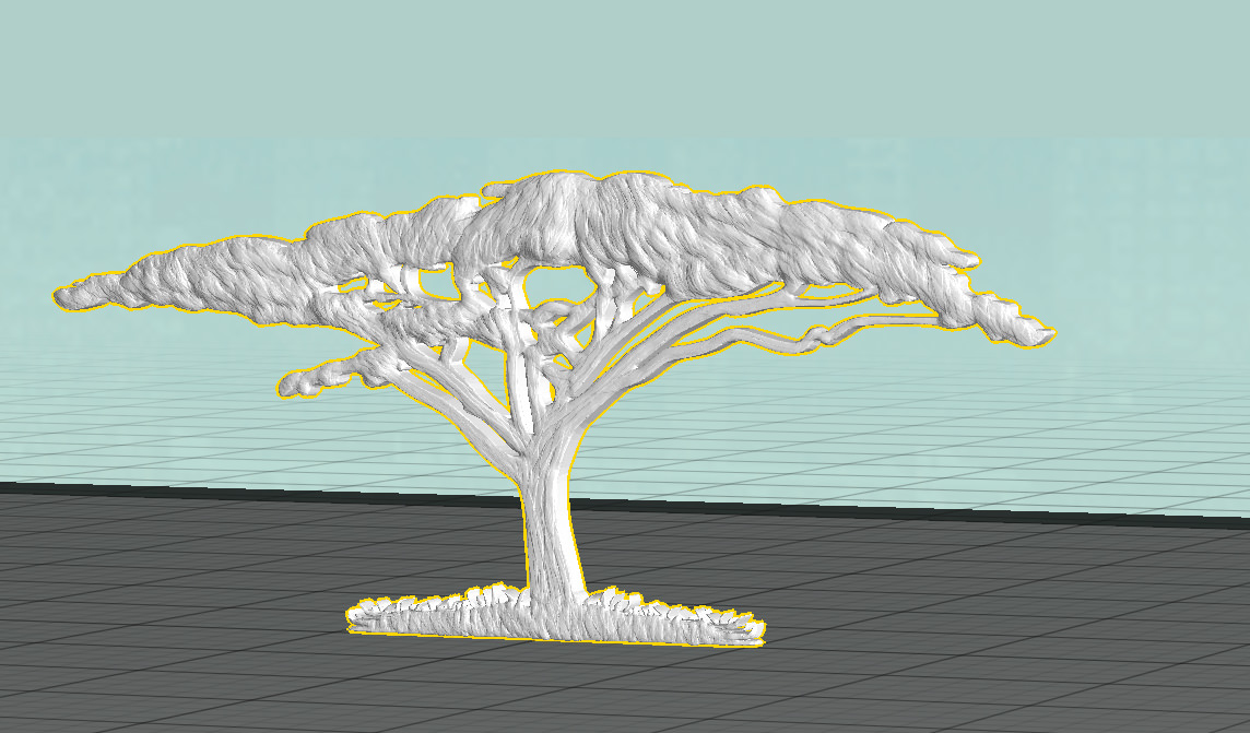 African Acacia Tree 3D print model_1