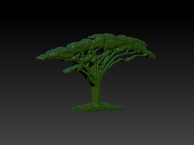 African Acacia Tree 3D print model_6