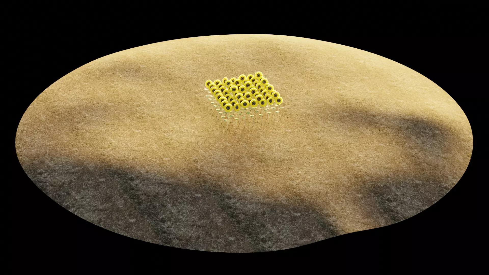 -Sunflower Field- 3D model_8