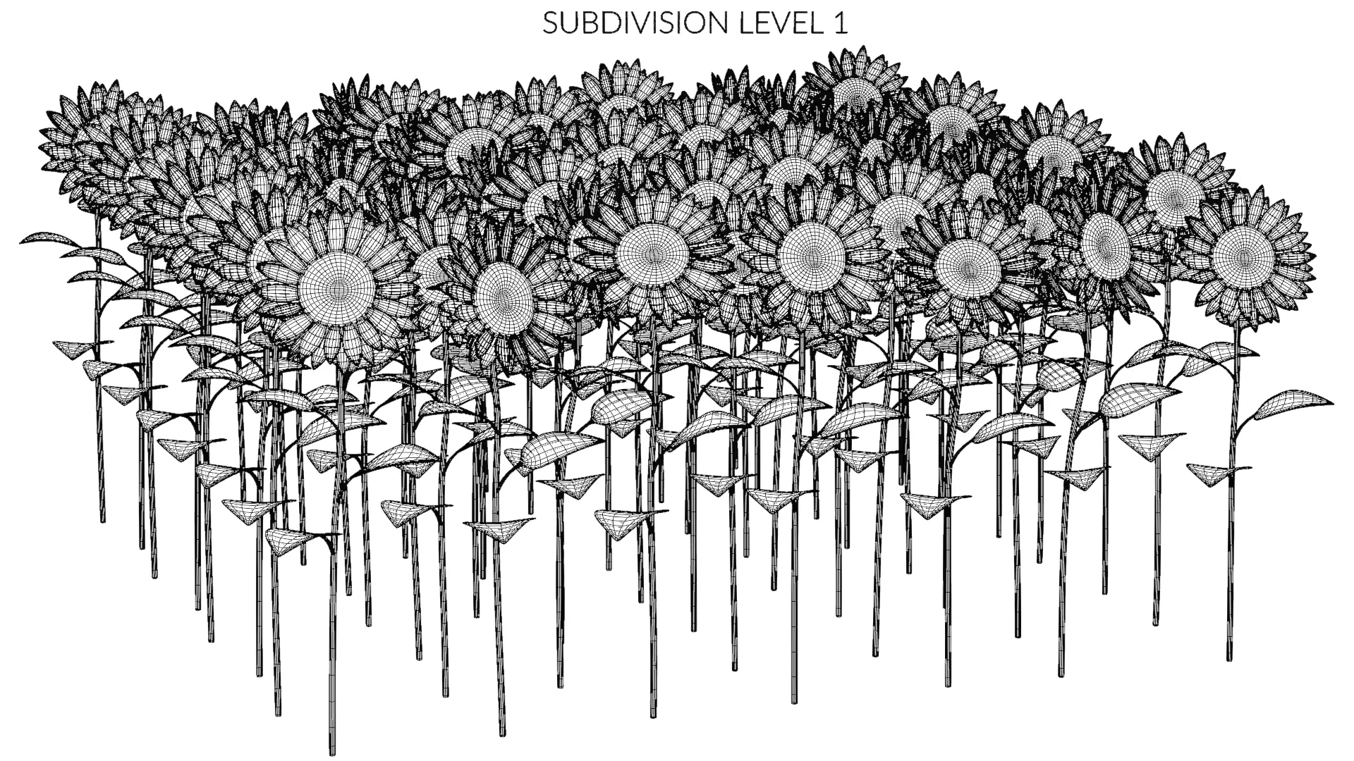 -Sunflower Field- 3D model_11